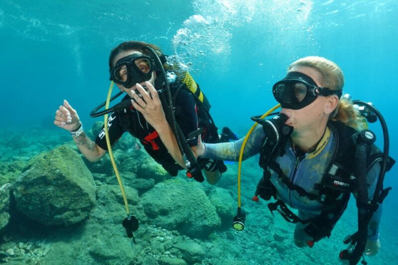 Try diving for the first time in turtle area - The Benefits of a Private Group Scuba Tour in Tenerife
