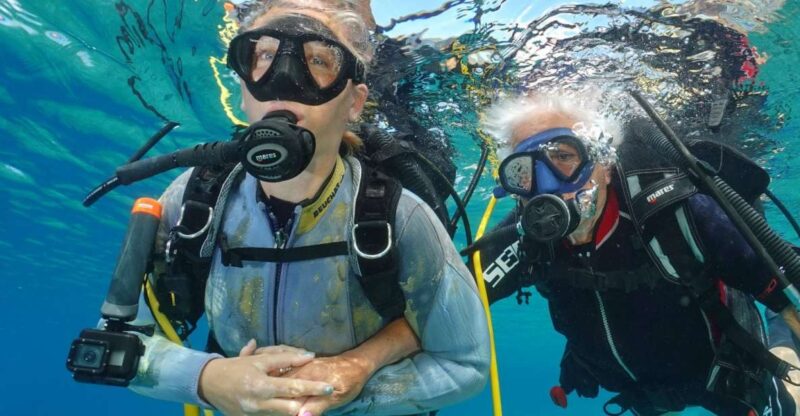 Try diving for the first time in turtle area - Weather and Location Flexibility for Optimal Diving Conditions