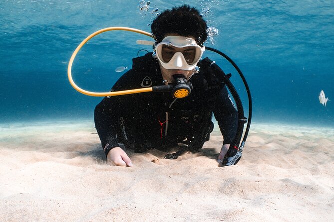 Try Scuba Diving | 1 dive - Equipment and Insurance Included in the Price
