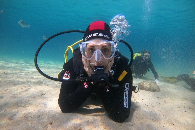 Try Scuba Diving | 1 dive - The Role of the Licensed Guide and Support Staff