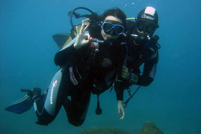 Try Scuba Diving in a turtle area (boat) - Departing from Costa Adeje to Secluded Dive Spots