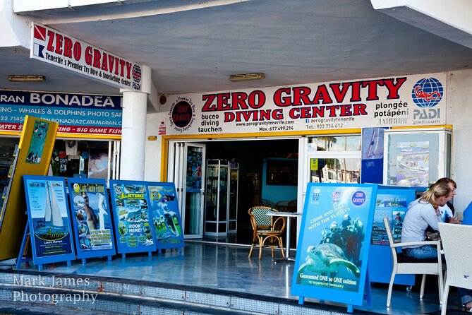 Try Scuba Diving in a turtle area (boat) - Equipment, Insurance, and Safety Measures