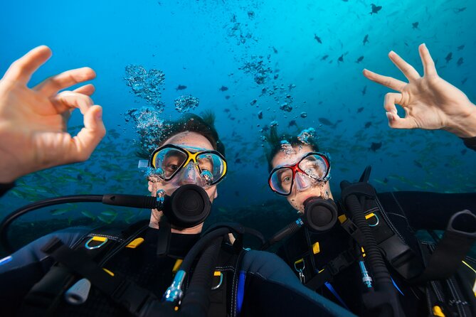 Try Scuba Diving in Kauai From a Boat for Non-Certified Divers - Discover the Unique Allure of Kauai’s Underwater Ecosystem