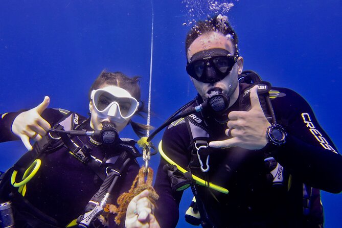 Try Scuba Diving on Kauai with Sea Turtles - Marine Life Encounters and Underwater Highlights