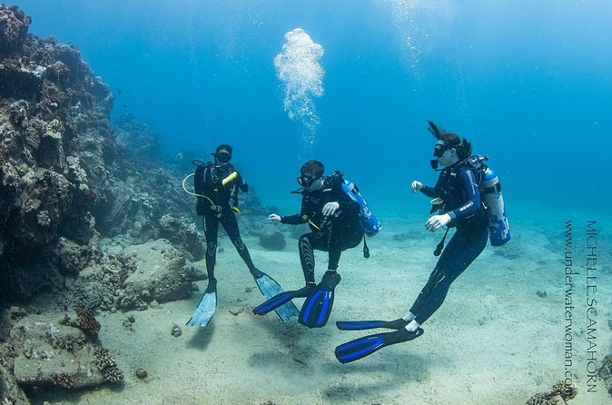 Try Scuba Diving on Kauai with Sea Turtles - Flexibility and Personalization on Island Time