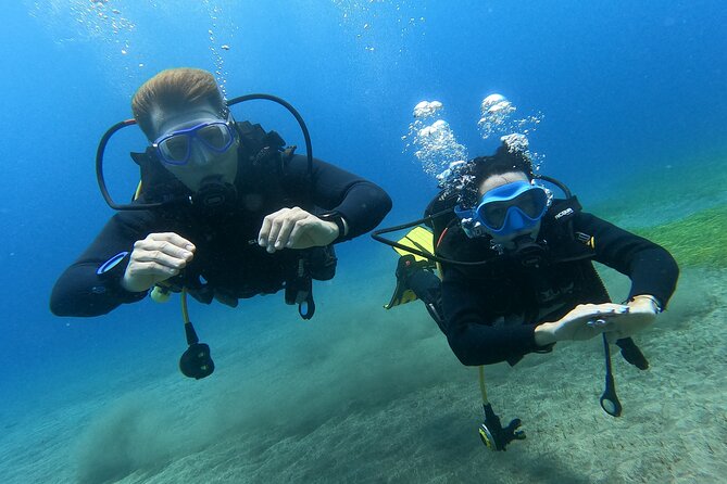 Try Scuba Diving Puerto Colon - The Dive Spot and Marine Life You’ll Encounter