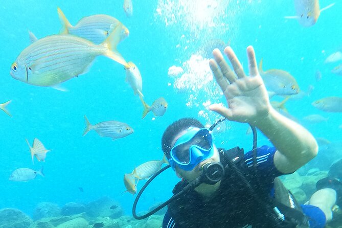 Try Scuba Diving Puerto Colon - Who Will Benefit Most from This Tour