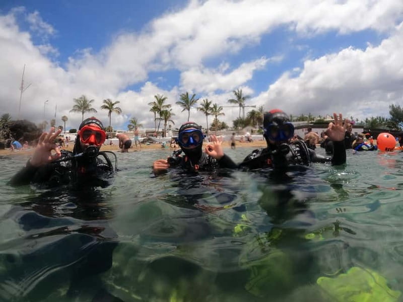 TRY SCUBA - Experience for beginners - Detailed Overview of the Dive Experience