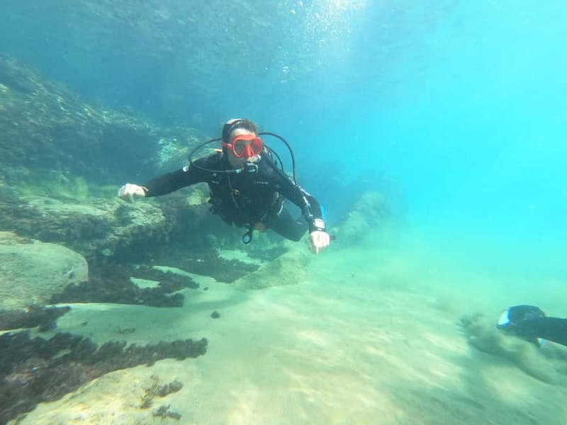 TRY SCUBA - Experience for beginners - The Role of the Instructor and Multilingual Support