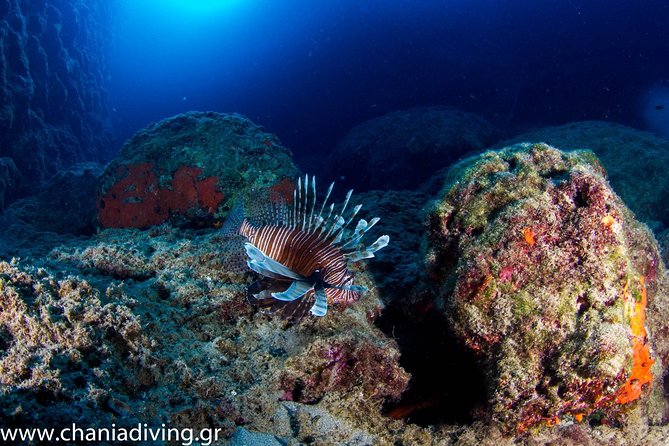 Try Scuba in Crete  Free Certification & Photos (Beginners) - Snacks and Comfort During the Tour