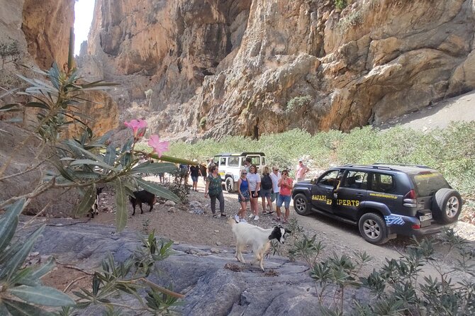 Trypiti beach and gorge Jeep Safari - Visit to St. Sava Canyon and the Gorge