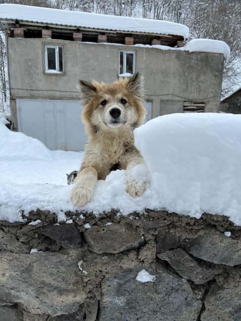 Tsakhkadzor ski resort Lake Sevan Sevanavank monastery - What’s Included and What You Should Prepare For