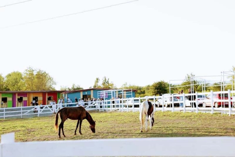 Tskaltubo: Abandoned Hotels tour, Tetra Cave & Wine tasting - Visiting the Tskaltubo Soviet-Era Central Train Station