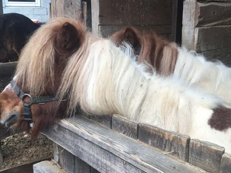 Tuheljske Toplice: E-bike Tour to Veliko Trgovie - The Itinerary Breakdown