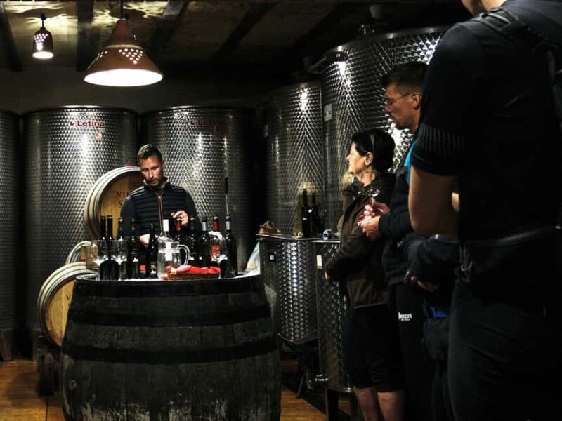 Tuheljske Toplice: E-Bike Tour with Wine Tasting - Key Points