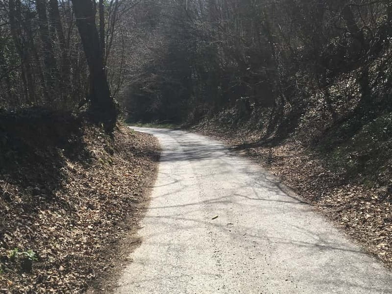 Tuheljske Toplice: Walking to the Monument Croatian Mother - Key Points