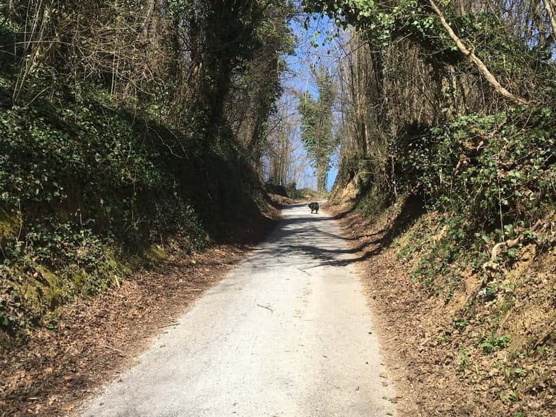 Tuheljske Toplice: Walking to the Monument Croatian Mother - Exploring Hrvatski Zagorje on a Light Guided Hike