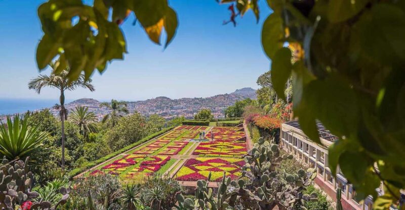 Tuk Tuk Botanical Garden - Madeira Island - Explore Madeira’s Botanical and City Highlights in a Private Tuk Tuk Tour