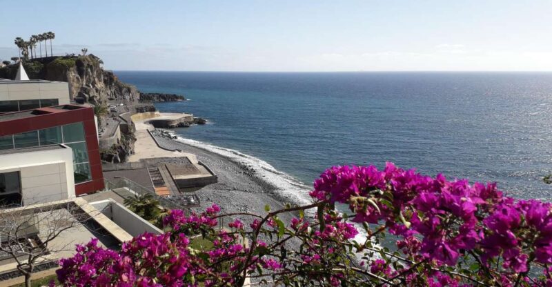 Tuk Tuk Câmara de Lobos - Madeira Island - What to Expect During the 1-Hour Excursion