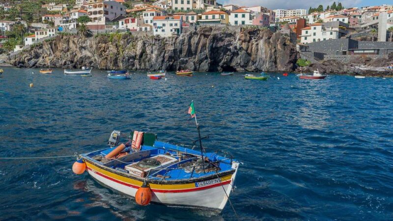 Tuk Tuk Câmara de Lobos - Madeira Island - The Benefits of a Private Group Tour
