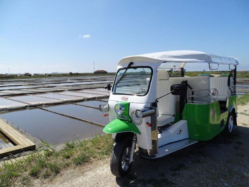 Tuk Tuk Tour in Aveiro - Logistics and Accessibility of the Tuk Tuk Experience