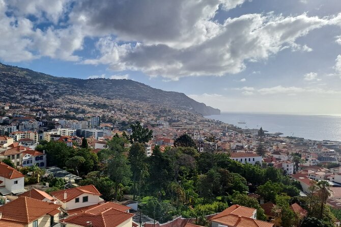 Tuk Tuk tour in Funchal - Exploring the Mercado dos Lavradores Market