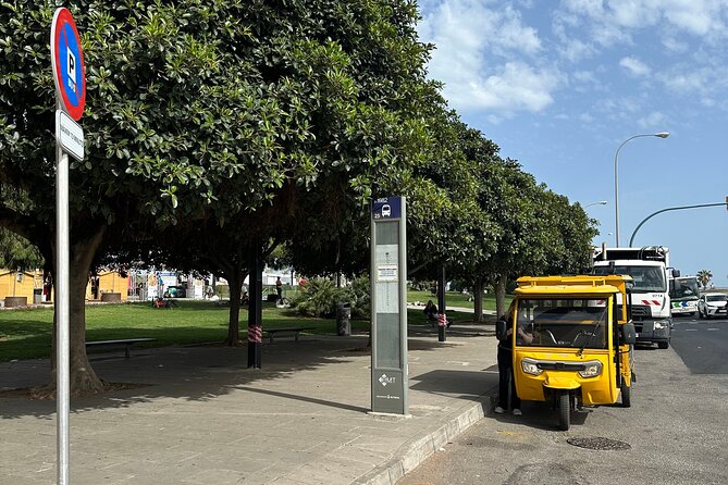 Tuk Tuk Tour in Palma de Mallorca - Panoramic Views from Baluarte del Principe