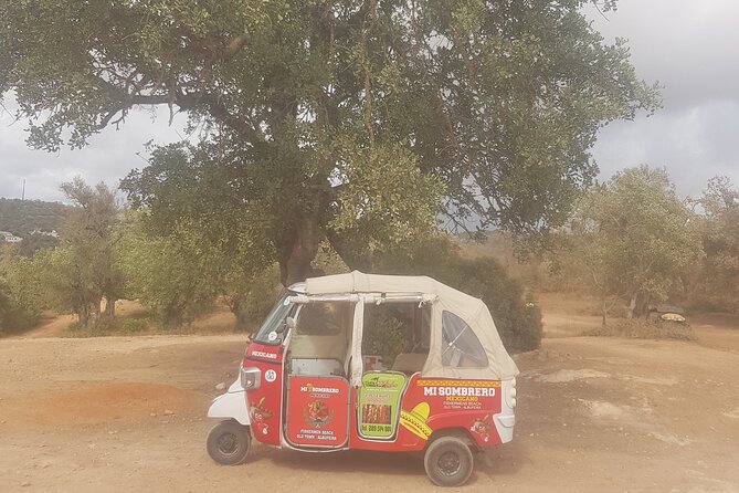 Tuk tuk tour- the best way to see coast and country side - Meeting Point and Logistics for Ease