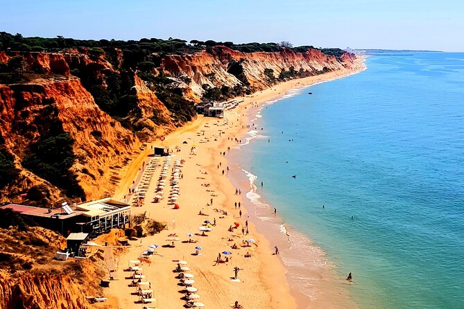 Tuk tuk tour- the best way to see coast and country side - Scenic Coastline and Secret Views with Great Food