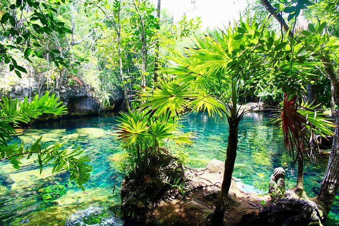 Tulaka Cenote Experience - Highly Praised Guides and Customer Satisfaction