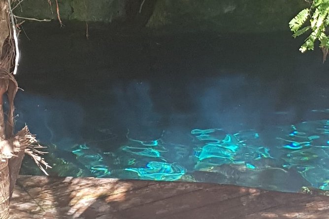 Tulaka Cenote Experience - Booking, Cancellation, and Flexibility