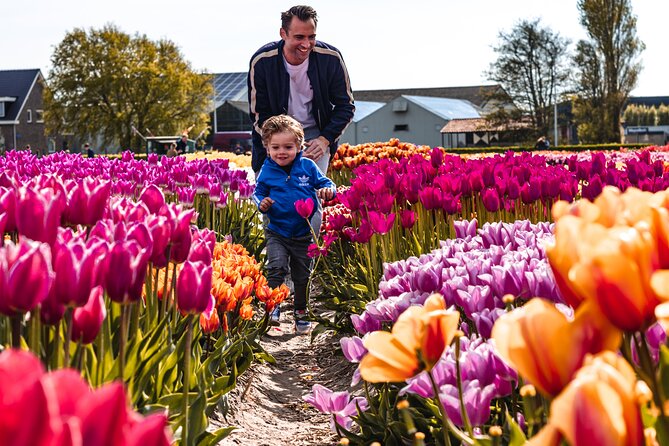 Tulip Experience and Keukenhof Flower Gardens Tour from Amsterdam - Key Points