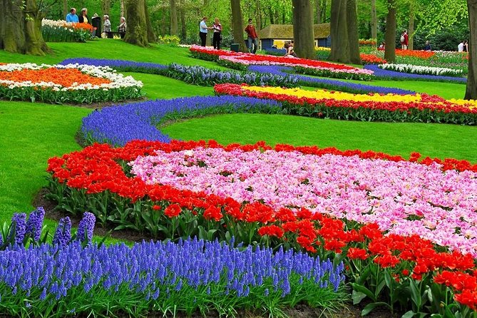 Tulip Experience and Keukenhof Flower Gardens Tour from Amsterdam - Flexibility and Customization Options