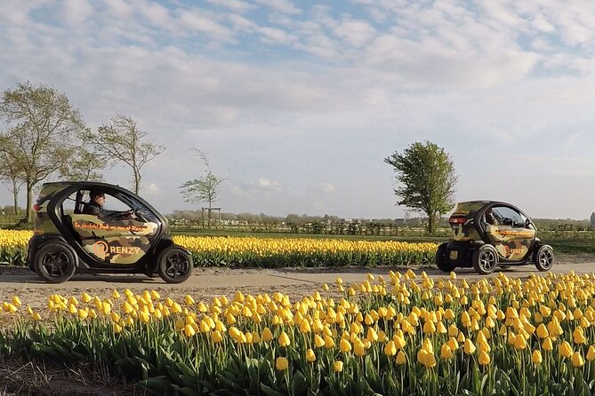 Tulip Fields Tour near Keukenhof - Self-drive with Audio Guide - Starting Point and How to Join the Tulip Fields Tour