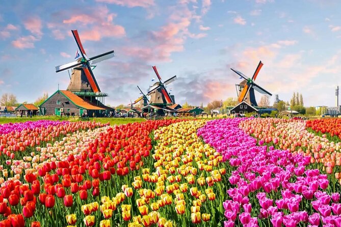 Tulip Paradise: Keukenhof Half-Day Private Tour - The Private Transfer and Scenic Drive Through Dutch Flower Fields