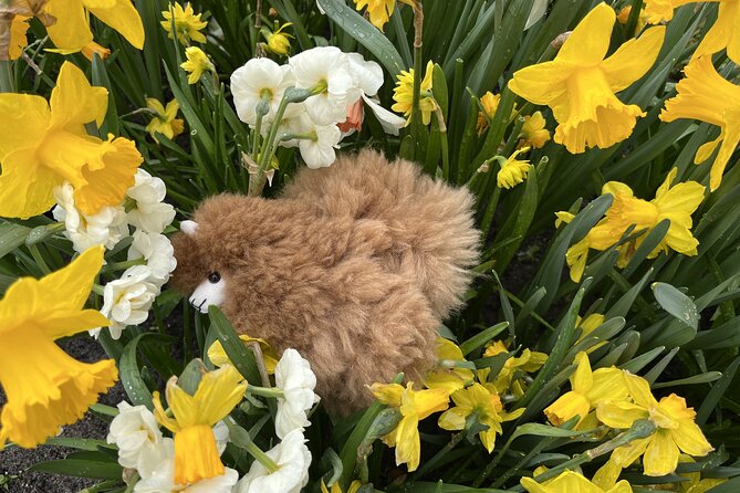 Tulip Paradise: Keukenhof Half-Day Private Tour - The Personal Touch of a Private Guide and Driver