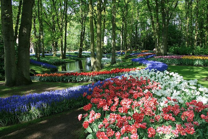 Tulip Paradise: Keukenhof Half-Day Private Tour - Limitations and Considerations