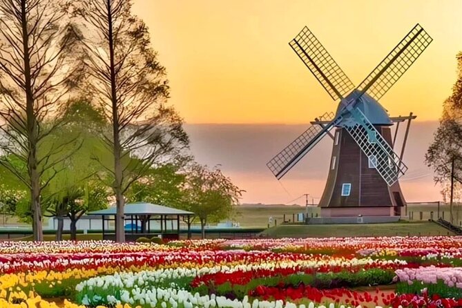 Tulips and Windmills Skip the Line Private Tour from Amsterdam - Exploring Zaanse Schans: Dutch Heritage in Action
