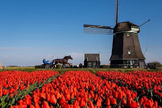 Tulips and Windmills Skip the Line Private Tour from Amsterdam - Cost and Booking Considerations