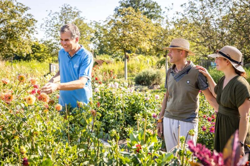 Tulln: DIE GARTEN TULLN Entry Ticket and Audio Guide - Accessibility and Practical Tips