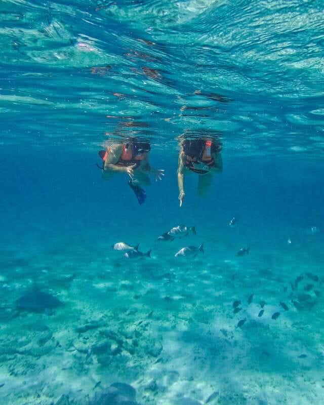 Tulum: 2-Hour Snorkeling in Two Spots of Tulum's Reef - Key Points