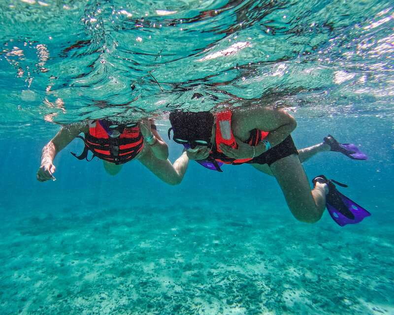 Tulum: 2-Hour Snorkeling in Two Spots of Tulum's Reef - Experience the Reefs Underwater Treasures