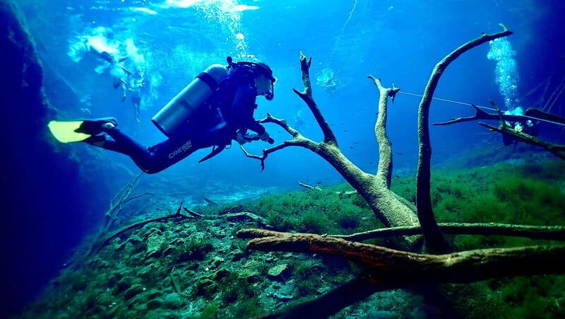 Tulum: 2 Tank Cenote Dive - Choosing the Perfect Cenote Based on Experience