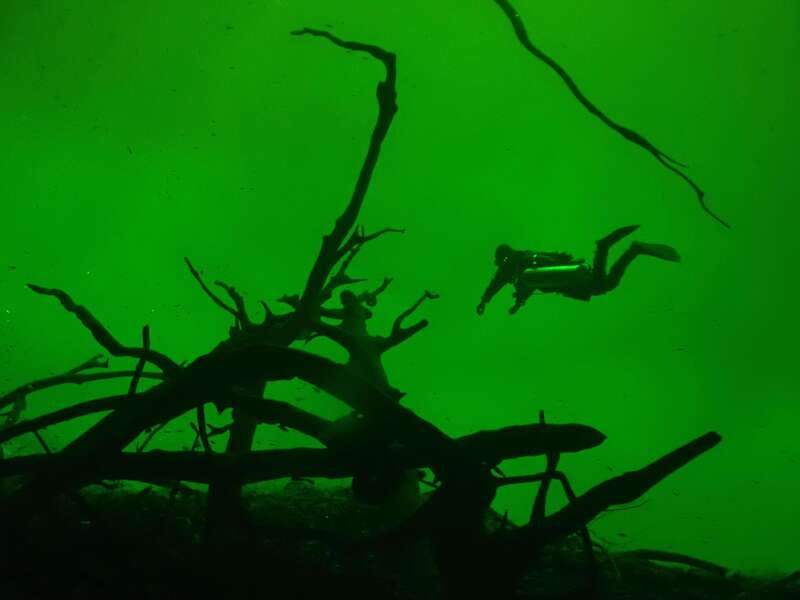 Tulum: 2 Tank Cenote Dive - Logistics: Meeting, Transport, and Group Size