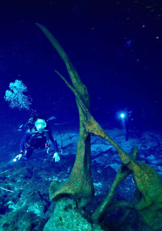 Tulum: 2 Tank Cenote Dive - How This Tour Compares to Other Activities in Tulum and Riviera Maya