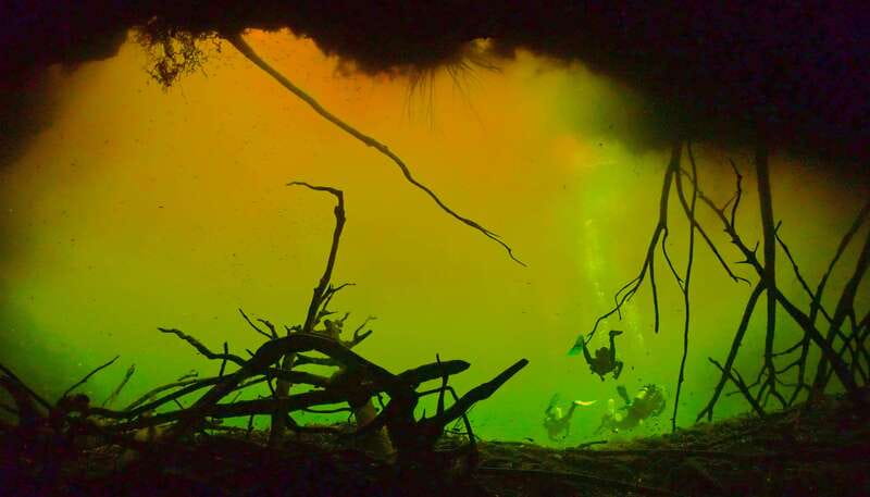 Tulum: 2 Tank Cenote Dive - Final Verdict: Who Will Love This Cenote Diving Tour?