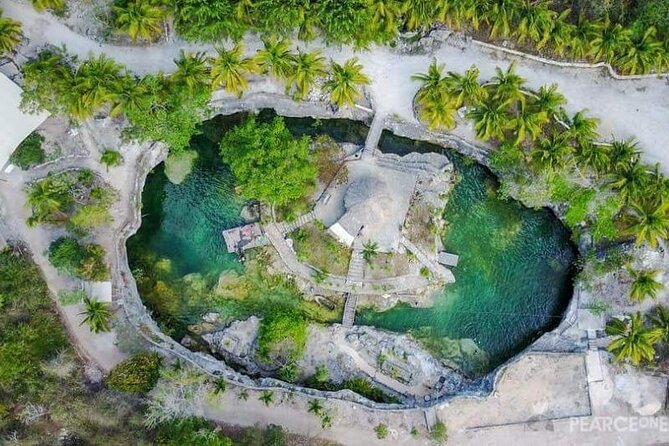 Tulum 4 Cenotes at home Turtle and Sculpture Mother Nature - Lunch and Free Time in Playa del Carmen’s Fifth Avenue