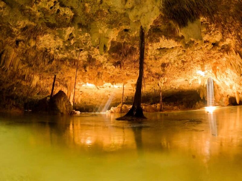Tulum: Ancestral Waters Cave Cenotes Jungle Walk & Meal - Explore Exclusive Cave-Cenotes in the Tulum Jungle