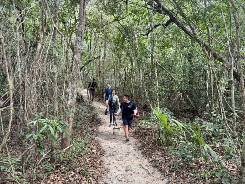 Tulum: Ancestral Waters Cave Cenotes Jungle Walk & Meal - The Jungle Hike and Underground Silence