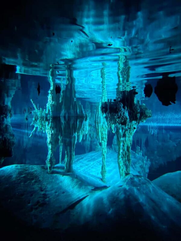 Tulum: Ancestral Waters Cave Cenotes Jungle Walk & Meal - Physical Requirements and Accessibility